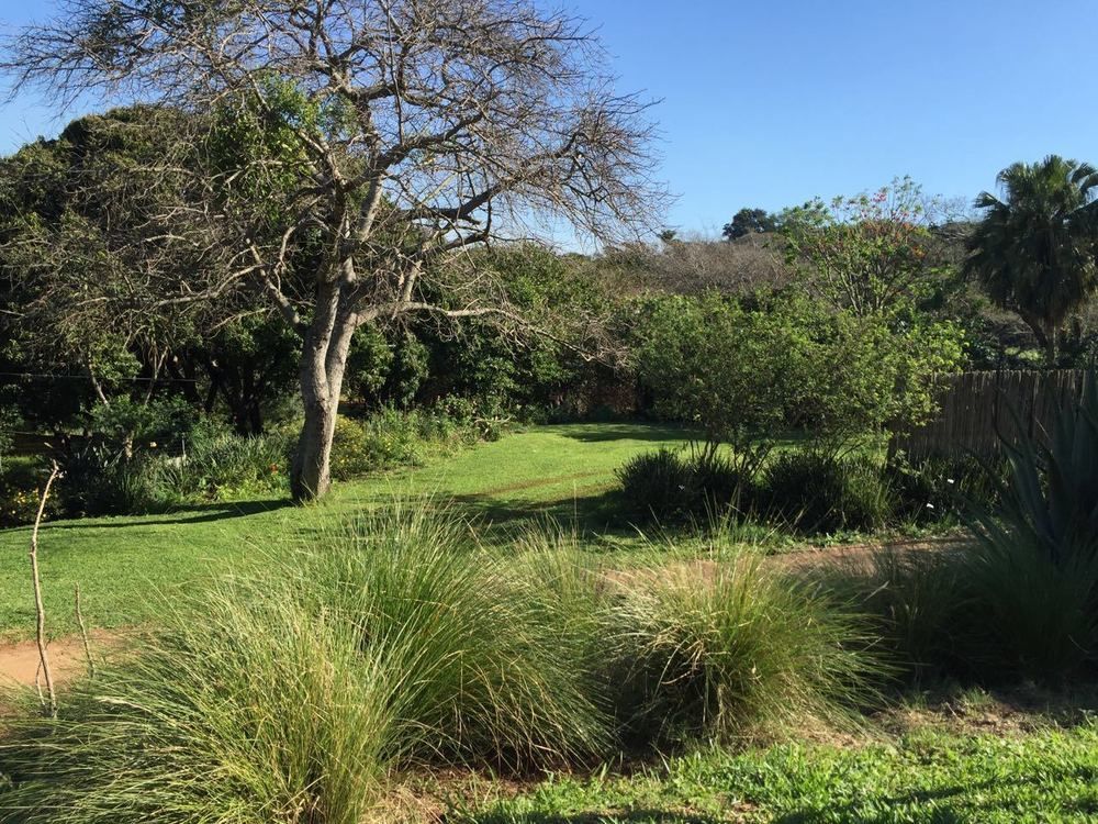 Ngoye Lodge Mtunzini Eksteriør bilde